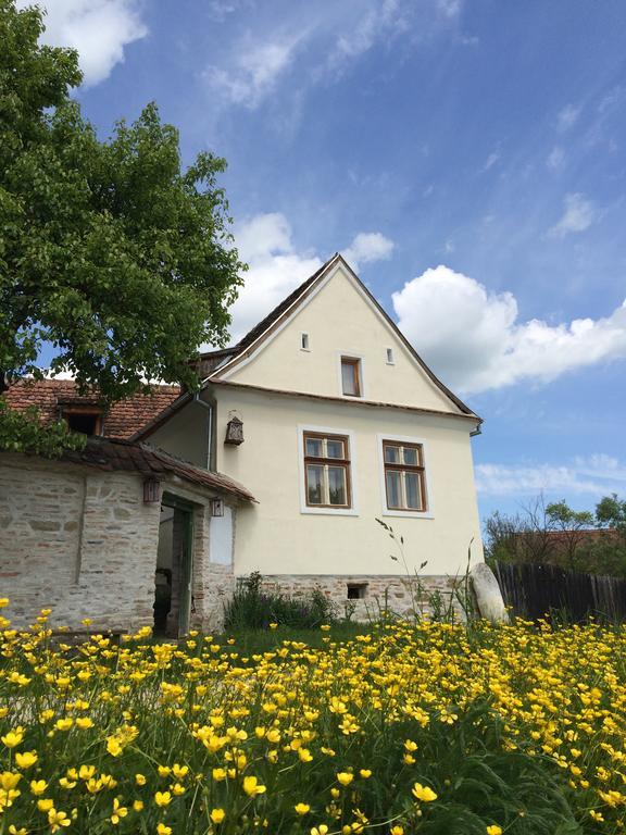 Гостевой дом Dominic Boutique - Casa Mare Cloasterf Экстерьер фото