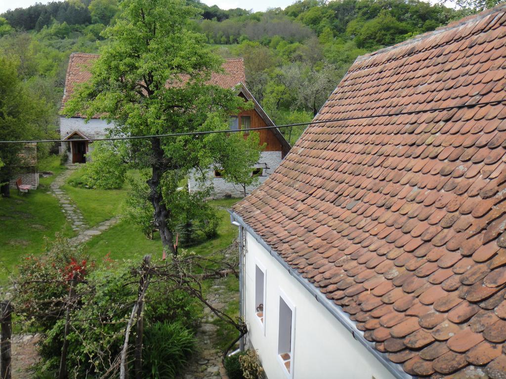 Гостевой дом Dominic Boutique - Casa Mare Cloasterf Экстерьер фото